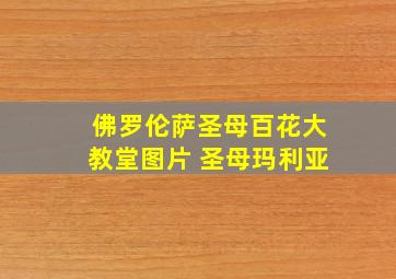 佛罗伦萨圣母百花大教堂图片 圣母玛利亚